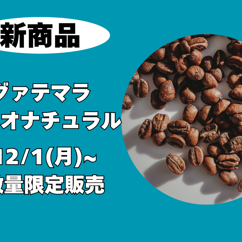 <新商品>グァテマラ　カカオナチュラル　数量限定販売いたします！